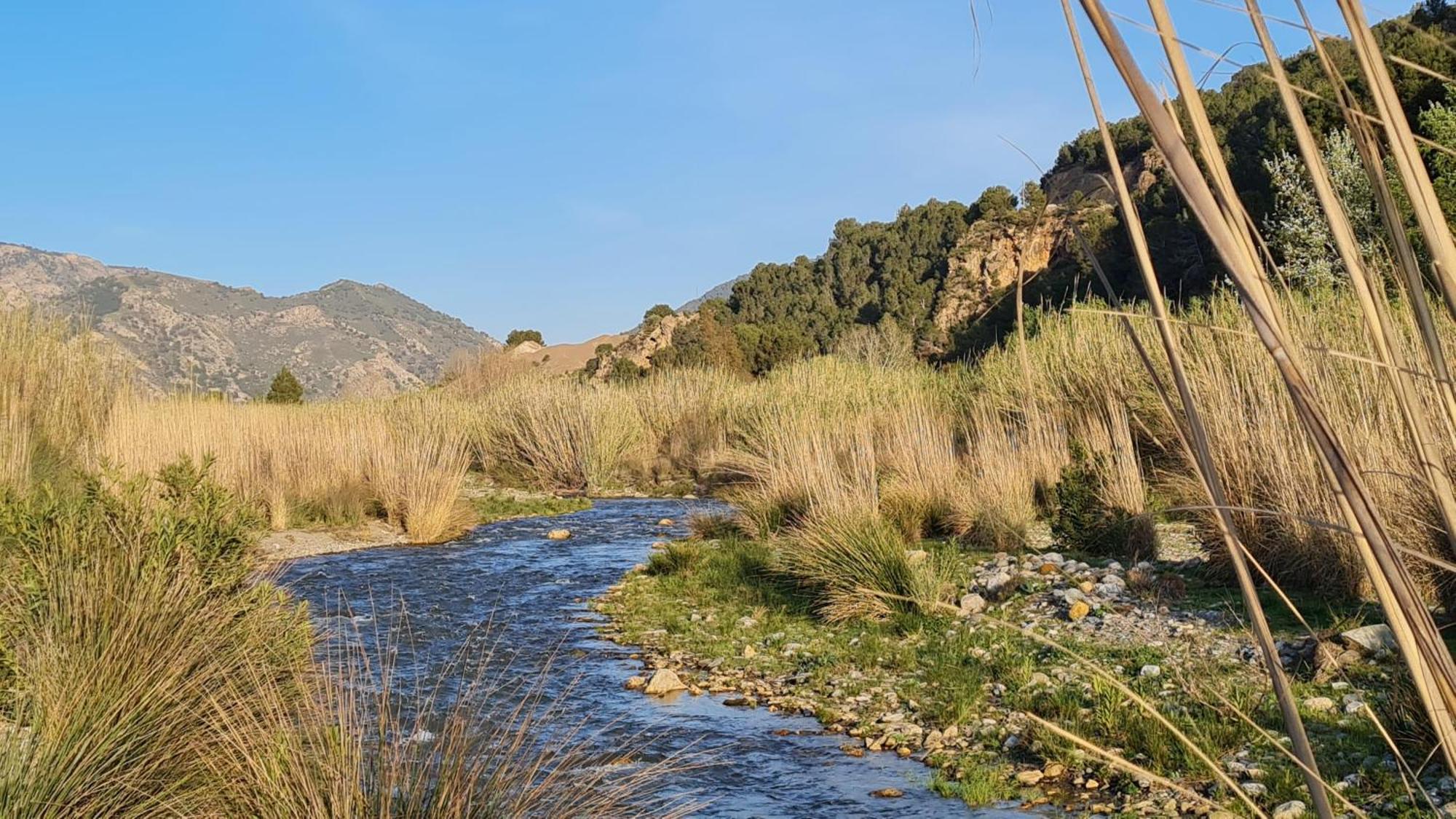 Casa Rural Cortijo El Potro 오르히바 외부 사진