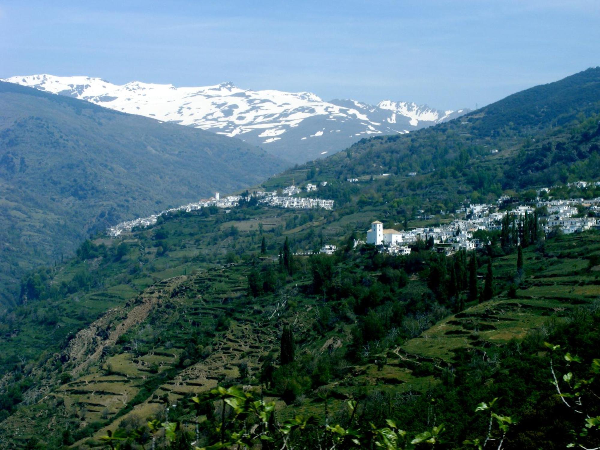 Casa Rural Cortijo El Potro 오르히바 외부 사진