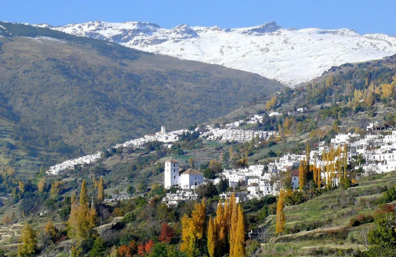 Casa Rural Cortijo El Potro 오르히바 외부 사진